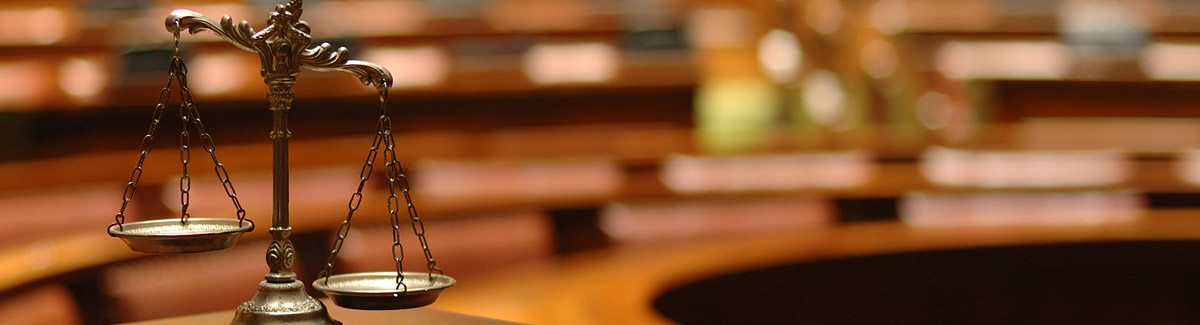 Direito empresarial e gestão de projetos ambientais